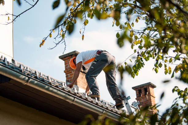 Best Best Roofing Contractors  in Hemlock, MI