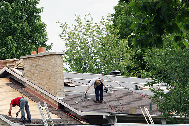Best Roof Repair Services  in Hemlock, MI