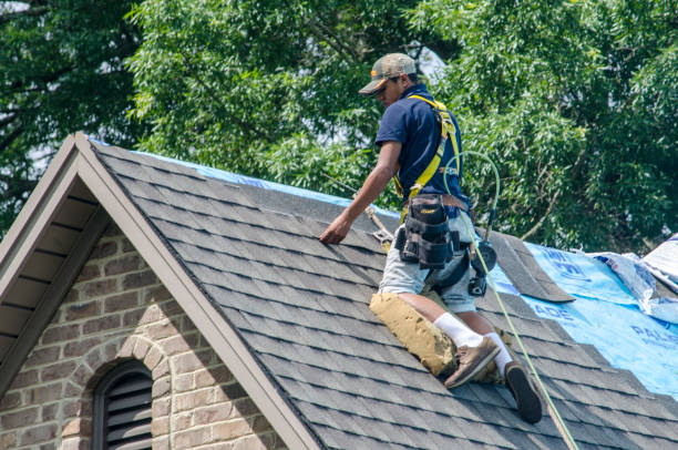 Best Residential Roofing Contractor  in Hemlock, MI